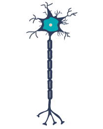 Neurodegenerative Diseases: Current Research